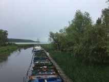 24 mai - En chemin vers le lac Balaton